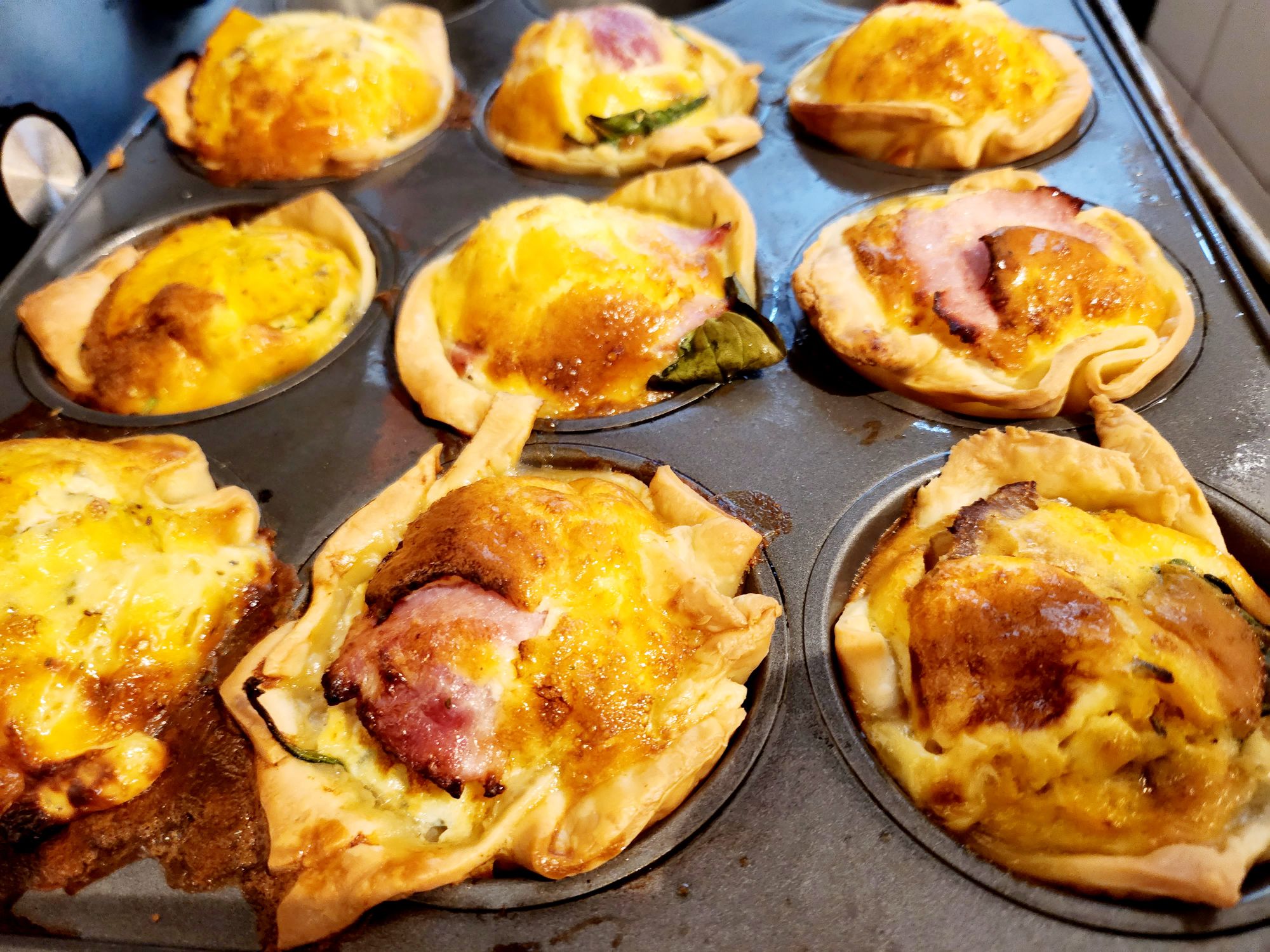 20241012_0947548261200183509560609