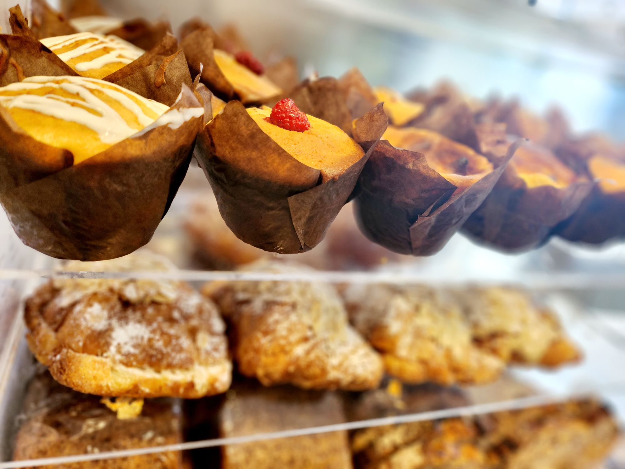 20241014_1135126153256153427154123